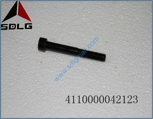 110000042123 CAP SCREW 0736 101 205