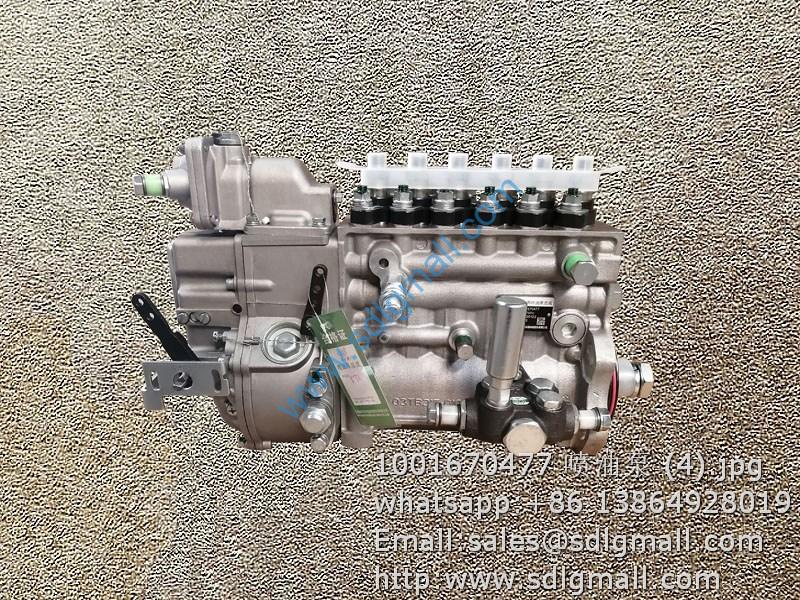 1001670477 Fuel injection pump WEICHAI parts