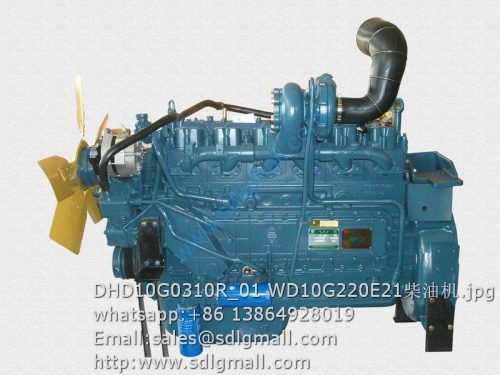 DHD10G0310R_01 WD10G220E21 diesel engine
